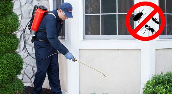 Boğazkale Kemirgen İlaçlama böcek ilaçlama ve haşere kontrolü — ilaclama-tr.com